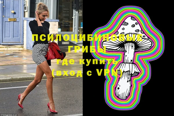 ПСИЛОЦИБИНОВЫЕ ГРИБЫ Верхнеуральск