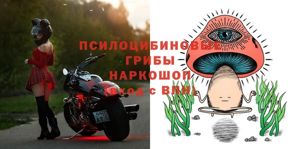 а пвп мука Верея