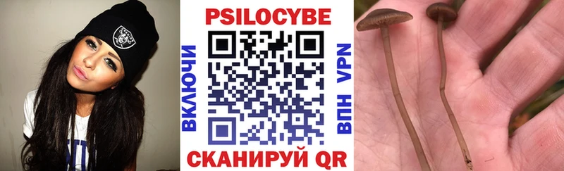 Псилоцибиновые грибы Cubensis  мега сайт  Кострома 