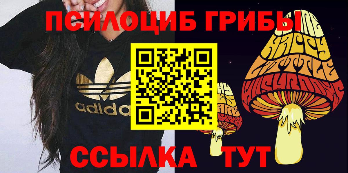 Галлюциногенные грибы Psilocybine cubensis  Галлюциногенные грибы Psilocybe  закладка  Кострома  Вход с VPN 